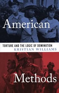American Methods: Torture and the Logic of Domination