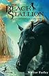 The Black Stallion