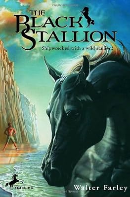 
The Black Stallion 