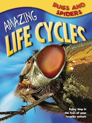 Bugs &amp; Spiders