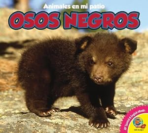 Osos Negros = Black Bears by Pamela McDowell
