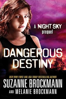 Dangerous Destiny: A Night Sky novella