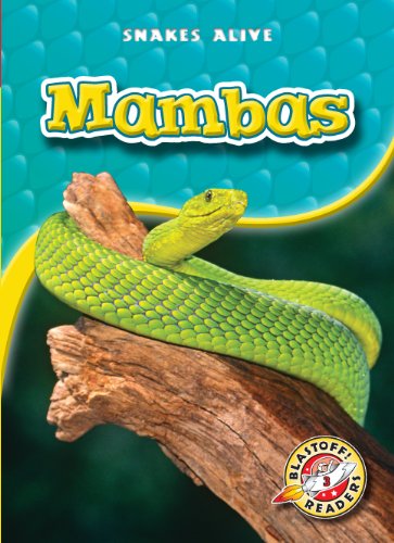 Mambas by Colleen Sexton