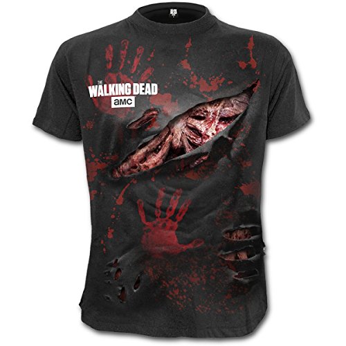 Algopix Similar Product 10 - 