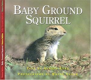BABY GROUND SQUIRREL