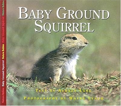 BABY GROUND SQUIRREL