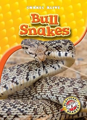 Bull Snakes