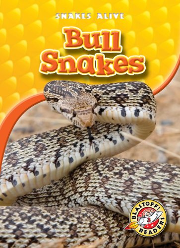Bull Snakes by Ellen Frazel