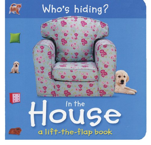 Who's Hiding? In the House: A Lift-the-Flap Book by Christiane Gunzi
