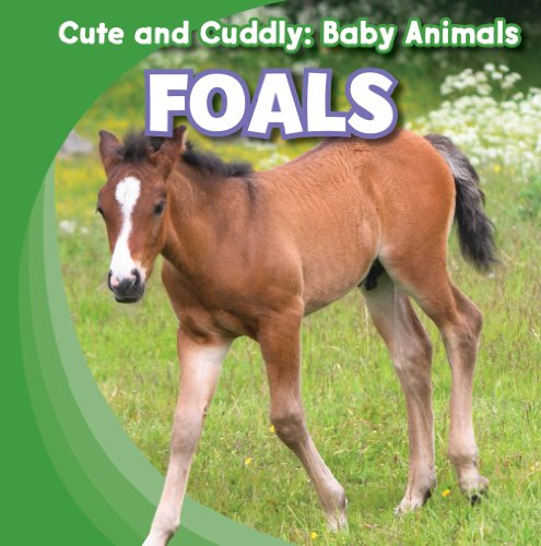 Foals by Grace Elora