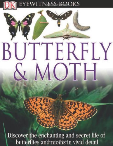 DK Eyewitness Books: Butterfly and Moth by DK Publishing