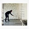 Brice Marden: Paintings Drawing Etchings
