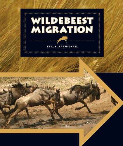 Wildebeest Migration by E. Carmichael