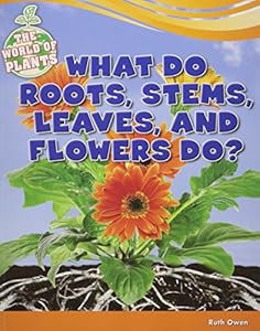 What do roots, stems, leaves, and flowers do?