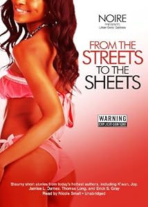 From the Streets to the Sheets: Urban Erotic Quickies (Library Edition)