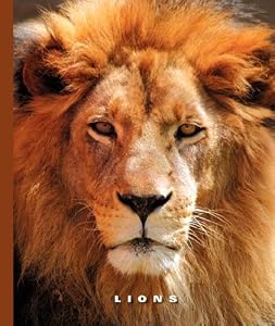 Lions