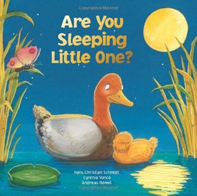 Are You Sleeping Little One