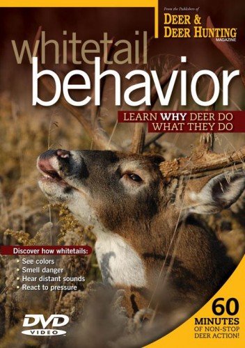 Whitetail Behavior DVD