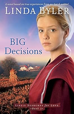 Big Decisions: A Novel Based On True Experiences From An Amish Writer!