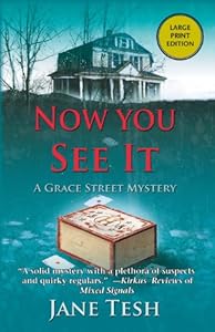 Now You See It: A Grace Street Mystery
