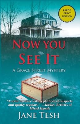 Now You See It: A Grace Street Mystery