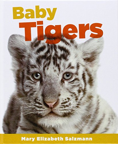 Baby Tigers by Mary Elizabeth Salzmann