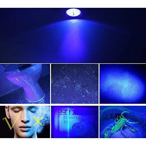 12 LED UV ultra violet Black Light Flashlights torch light, urine/stain detector,Black Color: Black, Model: , Outdoor & Hardware Store - Image 5