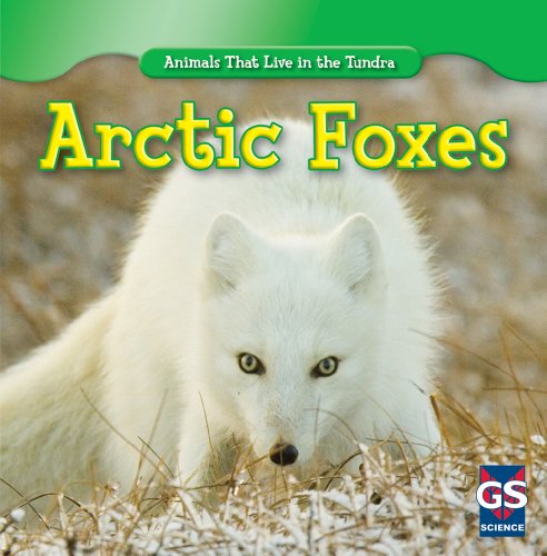 Arctic Foxes by Maeve T. Sisk