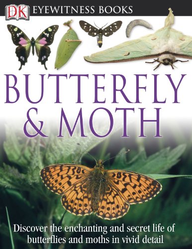 DK Eyewitness Books: Butterfly and Moth by DK Publishing