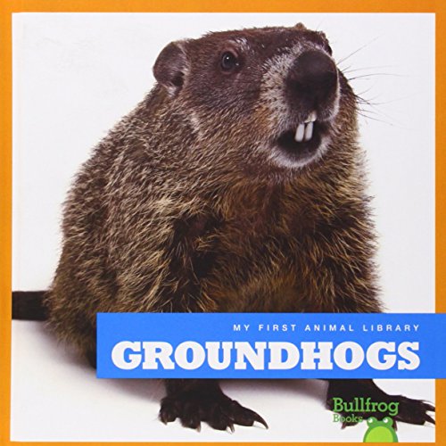 Groundhogs by Cari Meister