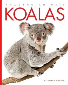 Koalas
