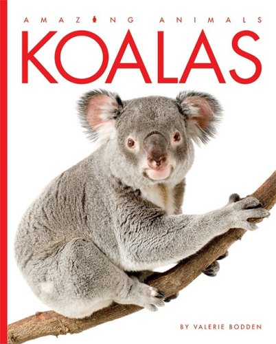 Koalas by Valerie Bodden