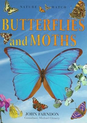 Butterflies and Moths (Nature Watch)