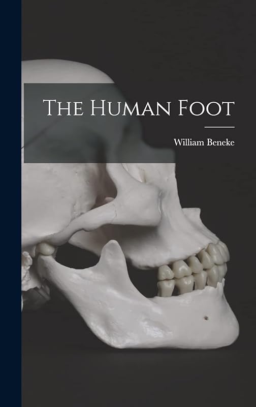 The Human Foot by William Beneke