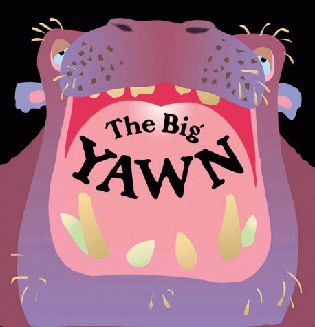 The Big Yawn by Keith Faulkner