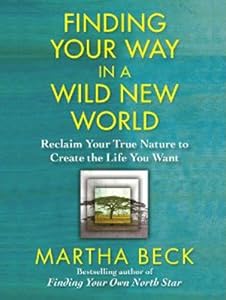 Finding Your Way in a Wild New World: Reclaim Your True Nature to Create the Life You Want