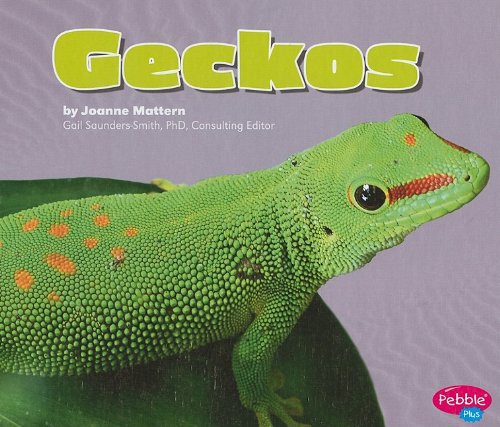Geckos by Joanne Mattern