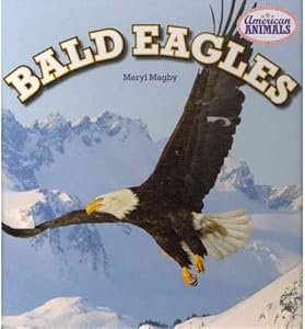 Bald Eagles