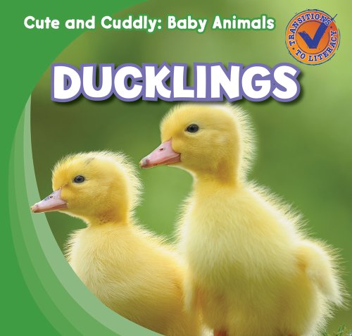 Ducklings by Katie Kawa