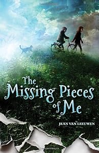 The Missing Pieces of Me