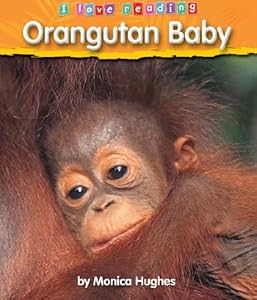 Orangutan Baby