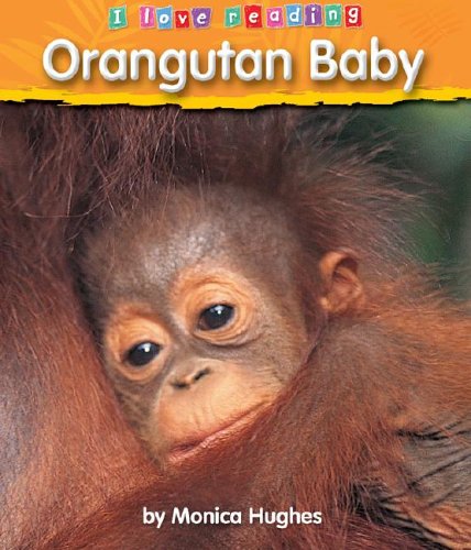 Orangutan Baby by Monica Hughes