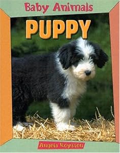 Puppy (Baby Animals (Chrysalis Education))
