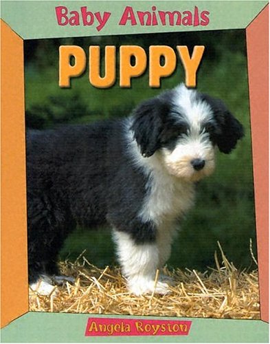 Puppy (Baby Animals (Chrysalis Education)) by Angela Royston