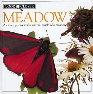 Meadow (Look Closer)