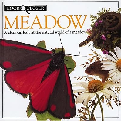 Meadow (Look Closer)