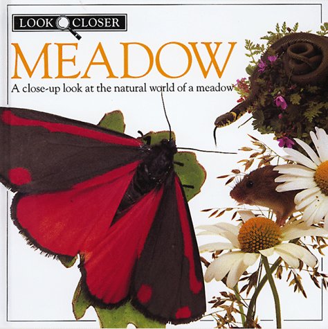 Meadow (Look Closer) by Barbara Taylor