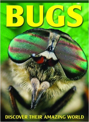 Bugs by Miles Kelly Publishing