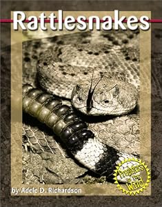 Rattlesnakes (Predators in the Wild (Capstone))