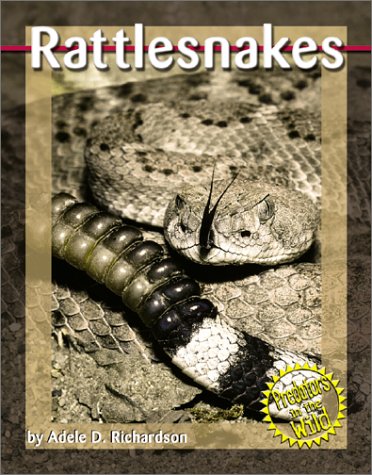 Rattlesnakes (Predators in the Wild (Capstone)) by Adele
